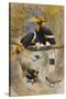 The Rhinoceros Hornbill, Buceros Rhinoceros, Zoological Sketches, 1856-Joseph Wolf-Stretched Canvas