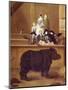 The Rhinoceros-Pietro Falca Longhi-Mounted Art Print