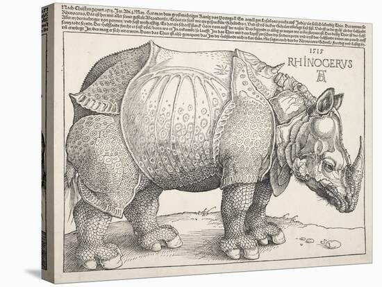 The Rhinoceros-Albrecht Dürer-Stretched Canvas