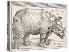 The Rhinoceros-Albrecht Dürer-Stretched Canvas