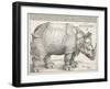 The Rhinoceros-Albrecht Dürer-Framed Art Print