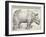 The Rhinoceros-Albrecht Dürer-Framed Art Print