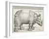 The Rhinoceros-Albrecht Dürer-Framed Art Print