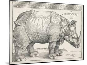 The Rhinoceros-Albrecht Dürer-Mounted Art Print