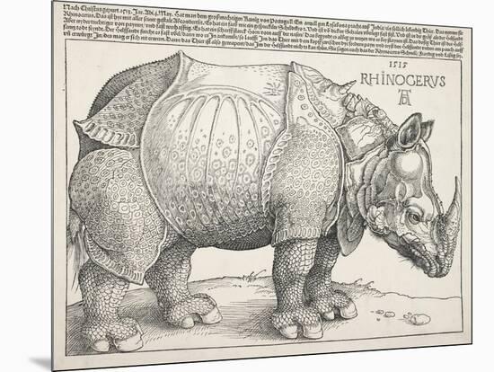 The Rhinoceros-Albrecht Dürer-Mounted Art Print