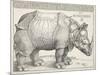The Rhinoceros-Albrecht Dürer-Mounted Art Print