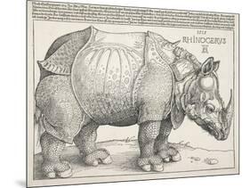 The Rhinoceros-Albrecht Dürer-Mounted Art Print