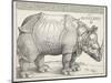 The Rhinoceros-Albrecht Dürer-Mounted Art Print