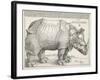 The Rhinoceros-Albrecht Dürer-Framed Art Print