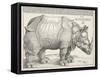 The Rhinoceros-Albrecht Dürer-Framed Stretched Canvas