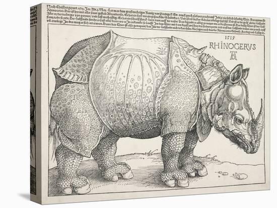 The Rhinoceros-Albrecht Dürer-Stretched Canvas