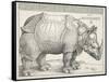 The Rhinoceros-Albrecht Dürer-Framed Stretched Canvas