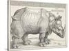 The Rhinoceros-Albrecht Dürer-Stretched Canvas