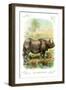 The Rhinoceros-null-Framed Art Print