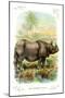 The Rhinoceros-null-Mounted Art Print