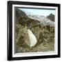 The Rhone Glacier (Switzerland), Waterfall and Upper Glacier-Leon, Levy et Fils-Framed Photographic Print