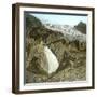 The Rhone Glacier (Switzerland), Waterfall and Upper Glacier-Leon, Levy et Fils-Framed Photographic Print