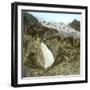 The Rhone Glacier (Switzerland), Waterfall and Upper Glacier-Leon, Levy et Fils-Framed Photographic Print