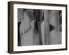 The Rhythm of Life II-Doug Chinnery-Framed Photographic Print