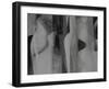 The Rhythm of Life II-Doug Chinnery-Framed Photographic Print