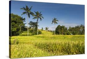 The Rice Terraces Jati Luwih-Christoph Mohr-Stretched Canvas