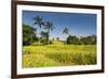 The Rice Terraces Jati Luwih-Christoph Mohr-Framed Photographic Print