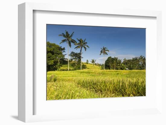 The Rice Terraces Jati Luwih-Christoph Mohr-Framed Photographic Print