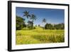 The Rice Terraces Jati Luwih-Christoph Mohr-Framed Photographic Print