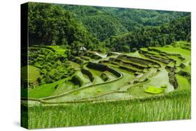 The Rice Terraces of Banaue, Northern Luzon, Philippines, Southeast Asia, Asia-Michael Runkel-Stretched Canvas