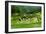 The Rice Terraces of Banaue, Northern Luzon, Philippines, Southeast Asia, Asia-Michael Runkel-Framed Photographic Print