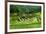 The Rice Terraces of Banaue, Northern Luzon, Philippines, Southeast Asia, Asia-Michael Runkel-Framed Photographic Print