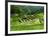 The Rice Terraces of Banaue, Northern Luzon, Philippines, Southeast Asia, Asia-Michael Runkel-Framed Photographic Print