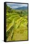 The Rice Terraces of Banaue, Northern Luzon, Philippines, Southeast Asia, Asia-Michael Runkel-Framed Stretched Canvas