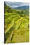 The Rice Terraces of Banaue, Northern Luzon, Philippines, Southeast Asia, Asia-Michael Runkel-Stretched Canvas