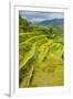 The Rice Terraces of Banaue, Northern Luzon, Philippines, Southeast Asia, Asia-Michael Runkel-Framed Photographic Print