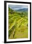 The Rice Terraces of Banaue, Northern Luzon, Philippines, Southeast Asia, Asia-Michael Runkel-Framed Photographic Print