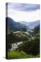 The Rice Terraces of Banaue, Northern Luzon, Philippines, Southeast Asia, Asia-Michael Runkel-Stretched Canvas