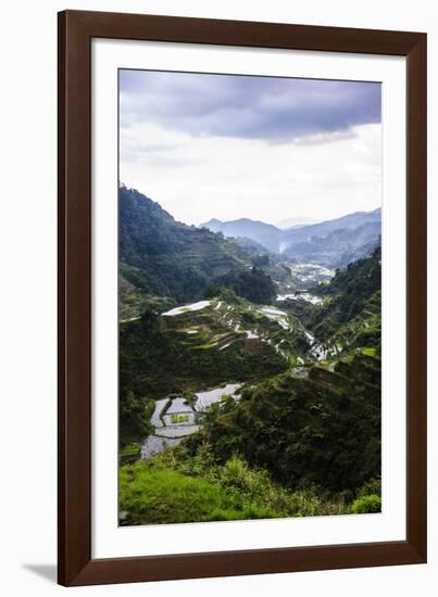 The Rice Terraces of Banaue, Northern Luzon, Philippines, Southeast Asia, Asia-Michael Runkel-Framed Photographic Print