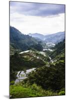 The Rice Terraces of Banaue, Northern Luzon, Philippines, Southeast Asia, Asia-Michael Runkel-Mounted Photographic Print
