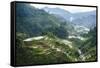 The Rice Terraces of Banaue, Northern Luzon, Philippines, Southeast Asia, Asia-Michael Runkel-Framed Stretched Canvas