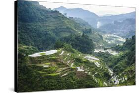 The Rice Terraces of Banaue, Northern Luzon, Philippines, Southeast Asia, Asia-Michael Runkel-Stretched Canvas