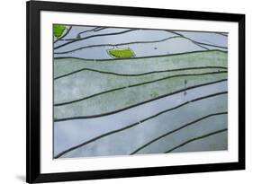 The Rice Terraces of Banaue, Northern Luzon, Philippines, Southeast Asia, Asia-Michael Runkel-Framed Photographic Print