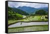 The Rice Terraces of Banaue, Northern Luzon, Philippines, Southeast Asia, Asia-Michael Runkel-Framed Stretched Canvas