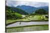 The Rice Terraces of Banaue, Northern Luzon, Philippines, Southeast Asia, Asia-Michael Runkel-Stretched Canvas