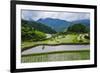 The Rice Terraces of Banaue, Northern Luzon, Philippines, Southeast Asia, Asia-Michael Runkel-Framed Photographic Print