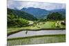 The Rice Terraces of Banaue, Northern Luzon, Philippines, Southeast Asia, Asia-Michael Runkel-Mounted Photographic Print