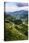 The Rice Terraces of Banaue, Northern Luzon, Philippines, Southeast Asia, Asia-Michael Runkel-Stretched Canvas