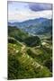 The Rice Terraces of Banaue, Northern Luzon, Philippines, Southeast Asia, Asia-Michael Runkel-Mounted Photographic Print