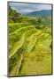 The Rice Terraces of Banaue, Northern Luzon, Philippines, Southeast Asia, Asia-Michael Runkel-Mounted Photographic Print