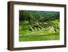 The Rice Terraces of Banaue, Northern Luzon, Philippines, Southeast Asia, Asia-Michael Runkel-Framed Photographic Print